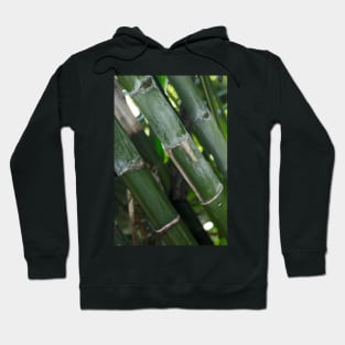 A Bamboo Experience © Hoodie